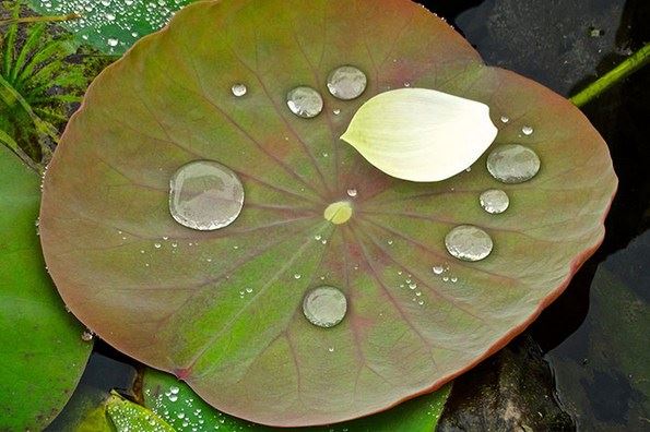 招桃花很灵的老方法