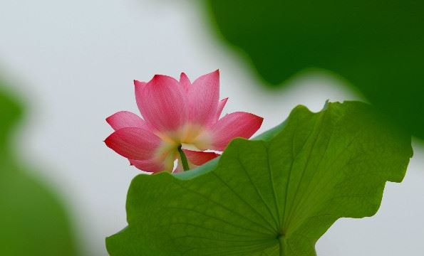 阳宅阴宅什么意思？解析居住风水的关键