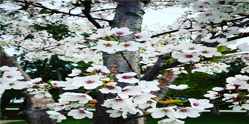 餐饮群名称大全霸气