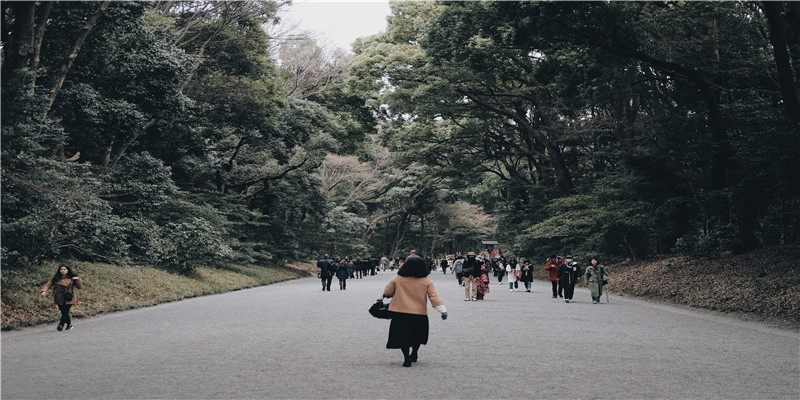 高中最难的数学方程式