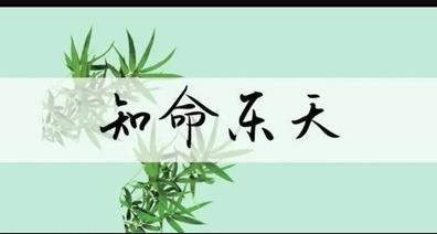 童子的种类以及影响，如何化解