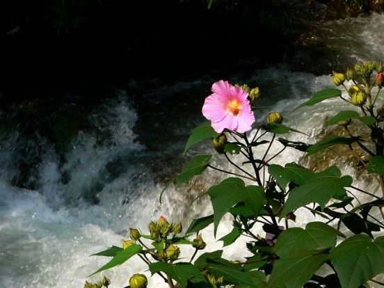 童子命一旦驳婚煞，还需尽早找师傅化解